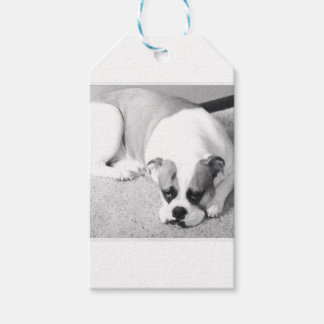 English Bulldog-Geschenk-Tag Geschenkanhänger