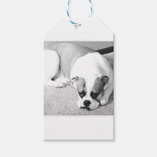 English Bulldog-Geschenk-Tag Geschenkanhänger (Vorderseite)