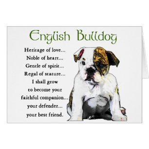 English Bulldog Geschenke