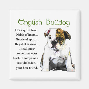English Bulldog Geschenke Magnet