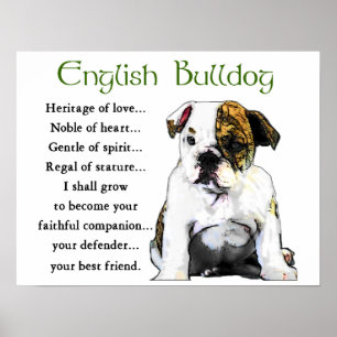 English Bulldog Geschenke Poster