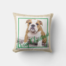 English Bulldog Green Christmas Holiday Foto