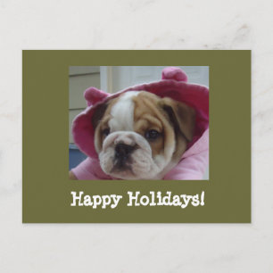 English Bulldog Happy Holidays Postkarten