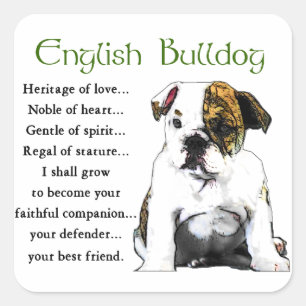 English Bulldog Heritage of Liebe Quadratischer Aufkleber