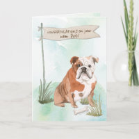 English Bulldog Herzlichen Glückwunsch zum neuen H