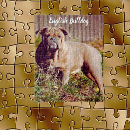 English Bulldog Jigsaw Puzzle Game