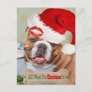 English Bulldog Kisses für Weihnachten