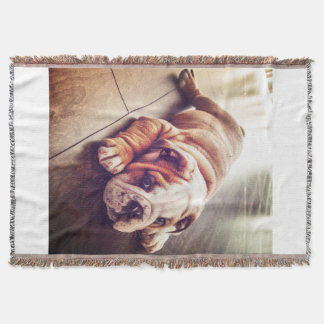 English Bulldog Lying Dog | Hundebahn Foto Decke