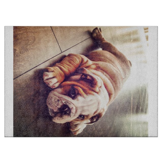 English Bulldog Lying Dog | Hundebahn Foto Schneidebrett (Vorderseite)