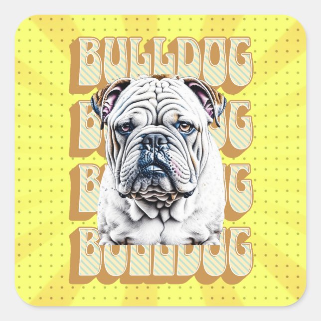 English Bulldog mit Retro-Schriftart Quadratischer Aufkleber (Vorderseite)
