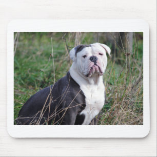 English Bulldog Mousepad
