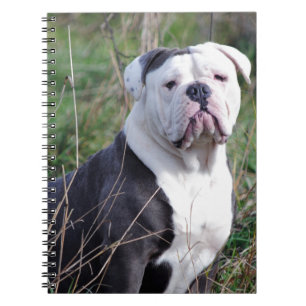 English Bulldog Notizblock