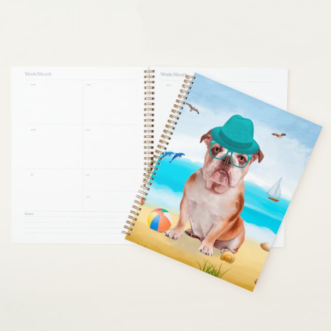 English Bulldog on Beach Planer (Anzeige)