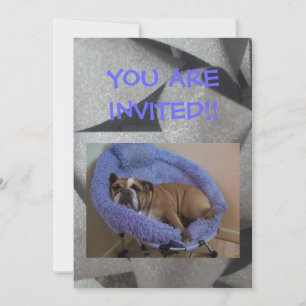 English Bulldog Party Einladungen