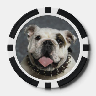 English Bulldog Poker Chips