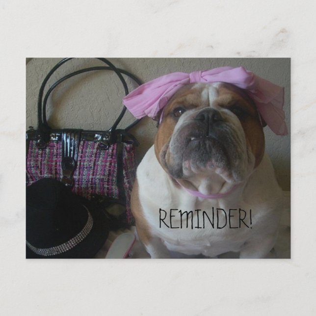 ENGLISH BULLDOG POSTCARD ERINNERUNG POSTKARTE (Vorderseite)