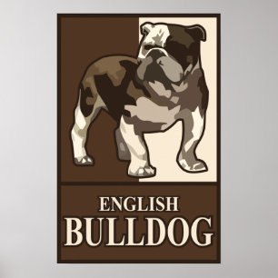 English Bulldog Poster