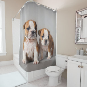 English Bulldog Puppies   Couple Niedlich Bulldog Duschvorhang