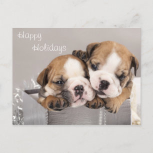 English Bulldog puppy and gifts Feiertagspostkarte