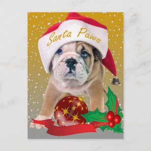 English Bulldog Puppy Christmas Cards Feiertagspostkarte