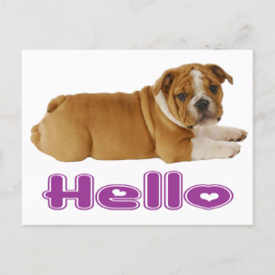 English Bulldog Puppy Dog - Hallo, Lila Herz Postkarte