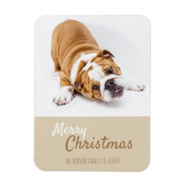 English Bulldog Puppy Foto Christmas Custom Magnet