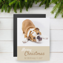 English Bulldog Puppy Foto Christmas Magnet Card