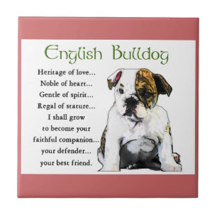 English Bulldog Puppy Heritage of Liebe Fliese