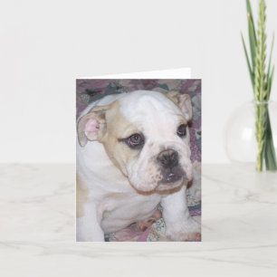 English Bulldog Puppy Notecard Karte