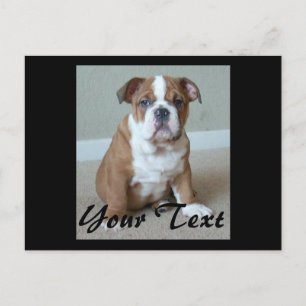 English Bulldog Puppy Postkarte