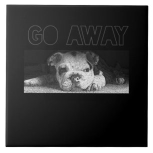 English Bulldog Puppy Social Distance geht weg Fliese