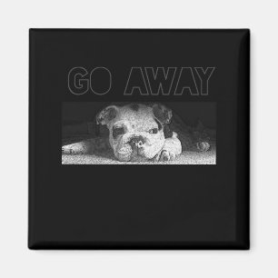 English Bulldog Puppy Social Distance geht weg Magnet