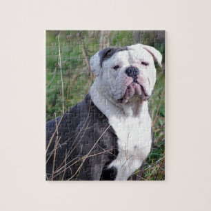 English Bulldog Puzzle