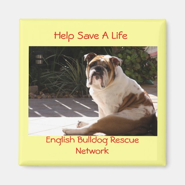 English Bulldog Rescue Network - Angepasstes Magnet (Vorne)