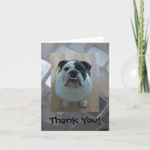 English bulldog Thank You note cards! Dankeskarte