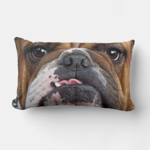 English Bulldog Throw Kissen