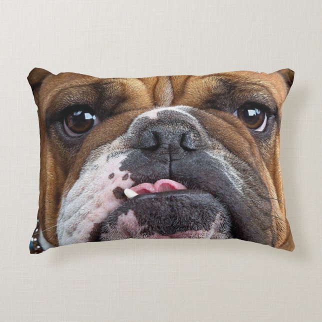 English Bulldog Throw Kissen (Vorderseite)