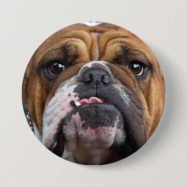 English Bulldog Throw Kissen Button (Vorderseite)