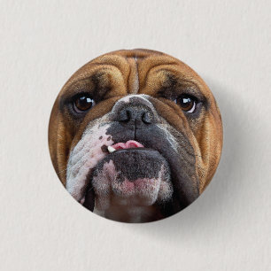 English Bulldog Throw Kissen Button