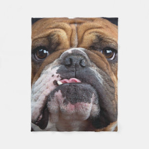 English Bulldog Throw Kissen Fleecedecke