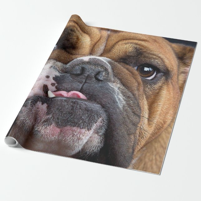 English Bulldog Throw Kissen Geschenkpapier (Ungerollt)