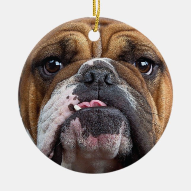 English Bulldog Throw Kissen Keramik Ornament (Vorne)