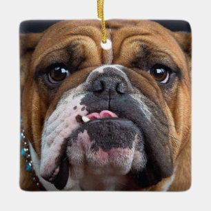 English Bulldog Throw Kissen Keramikornament