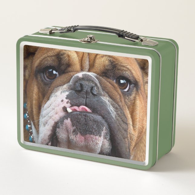 English Bulldog Throw Kissen Metall Brotdose (Vorderseite)