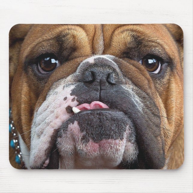 English Bulldog Throw Kissen Mousepad (Vorne)