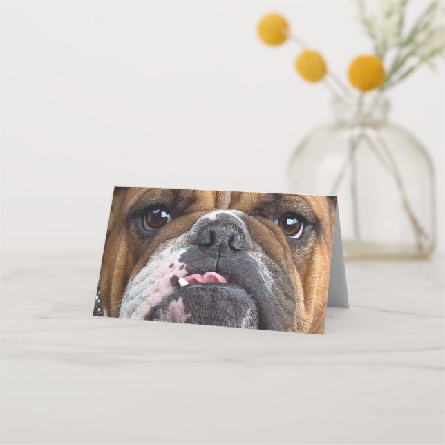 English Bulldog Throw Kissen Platzkarte