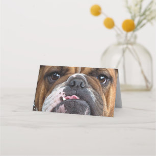 English Bulldog Throw Kissen Platzkarte