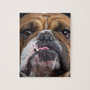 English Bulldog Throw Kissen Puzzle