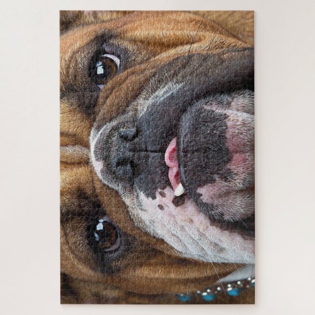 English Bulldog Throw Kissen Puzzle (Vertikal)