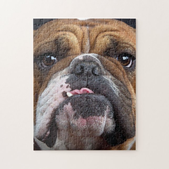 English Bulldog Throw Kissen Puzzle (Vertikal)